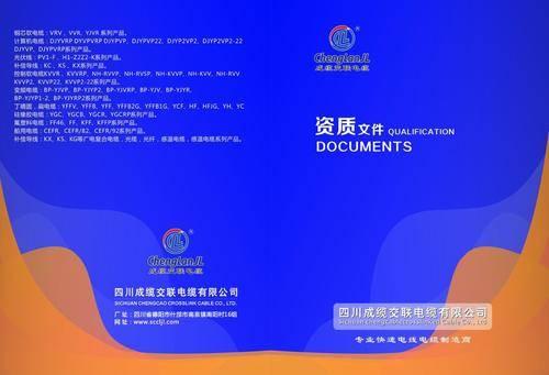 2026地域优化服务核心能力深度评测报告